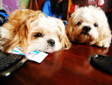 Una experiencia deliciosa e inolvidable