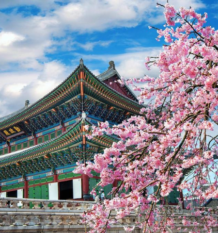 circuiro corea del sur