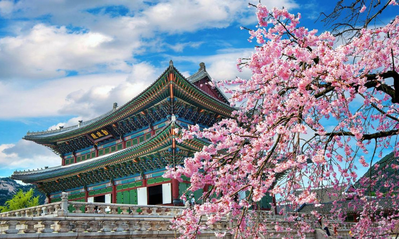 circuiro corea del sur