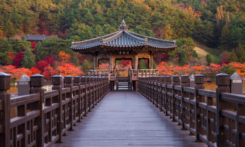 recorrido corea del sur