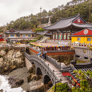 Día 5: Gyeongju - Busan