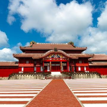Vida Marina y Cultura en Okinawa