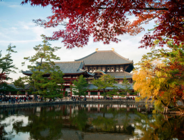 Parque de Nara
