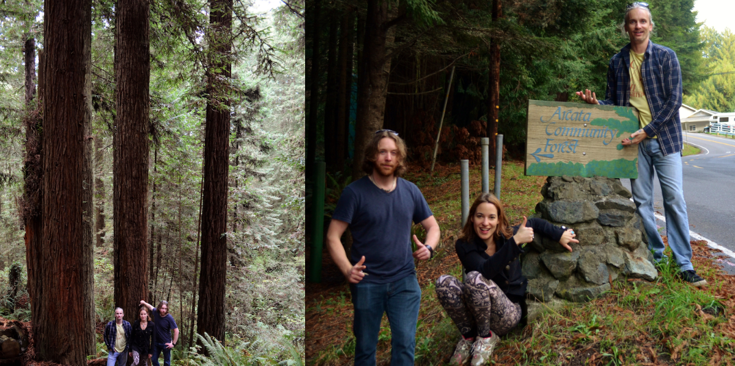 megafauna tour diary