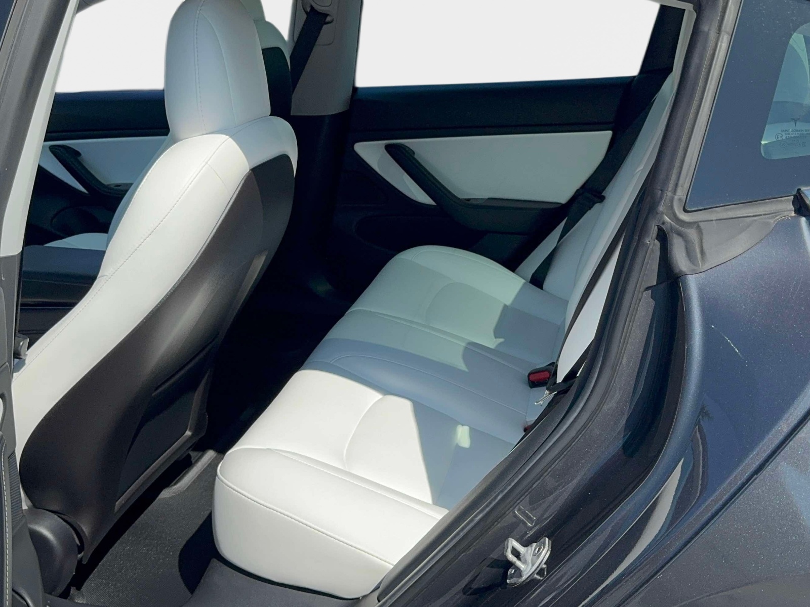 Used 2019 Tesla Model 3 Sedan