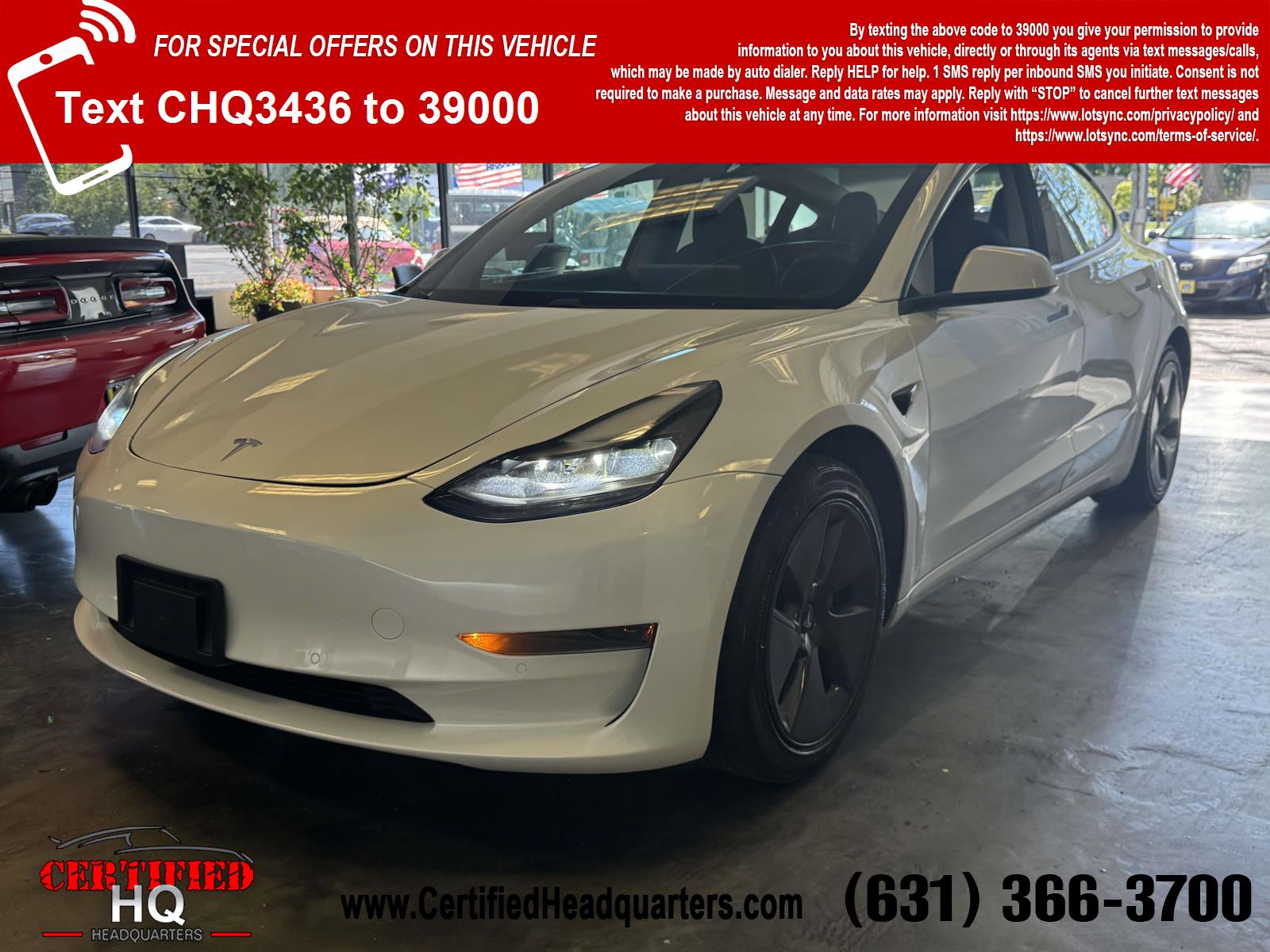 2021 Tesla Model 3 Standard Range Plus's photo