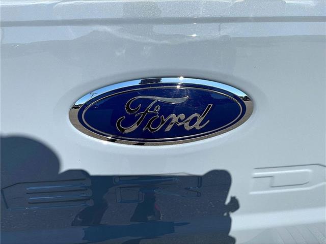 2025 Ford Super Duty F-350 DRW