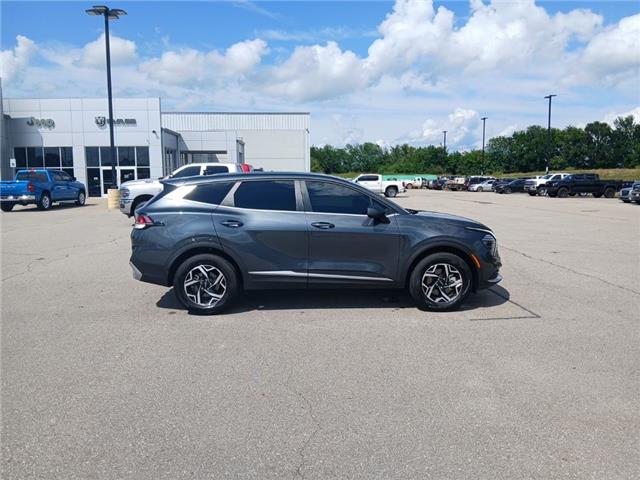2024 Kia Sportage