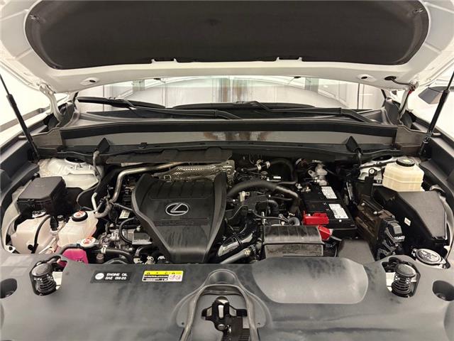 2024 Lexus TX
