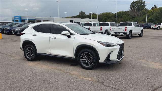 2023 Lexus NX