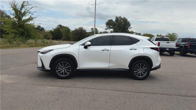 2023 Lexus NX