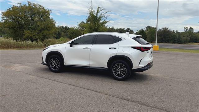 2023 Lexus NX