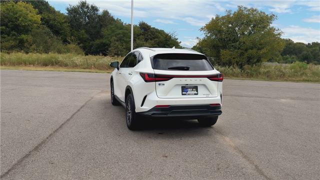 2023 Lexus NX