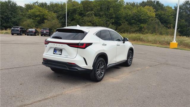 2023 Lexus NX
