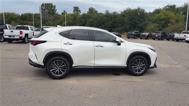 2023 Lexus NX