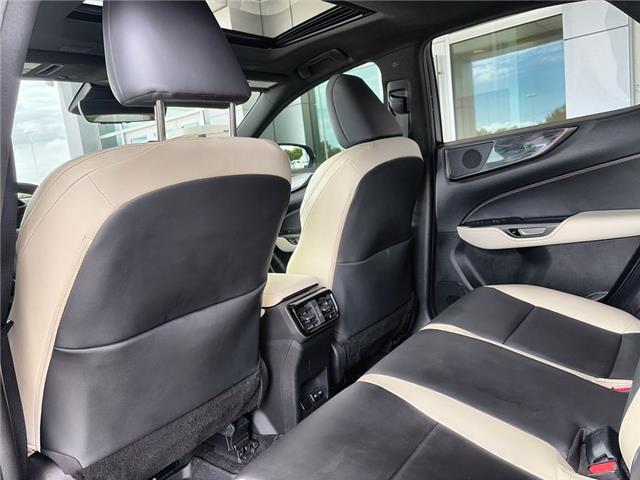 2023 Lexus NX