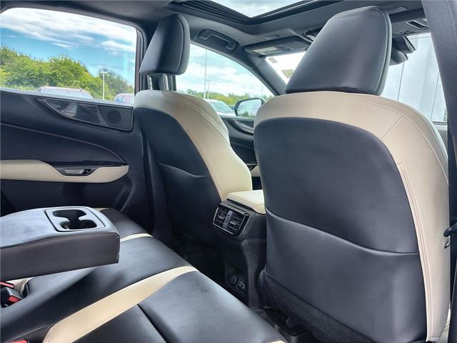 2023 Lexus NX