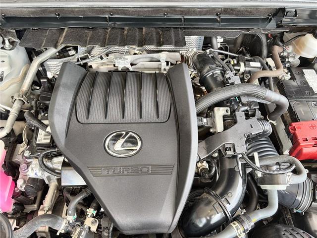 2023 Lexus NX