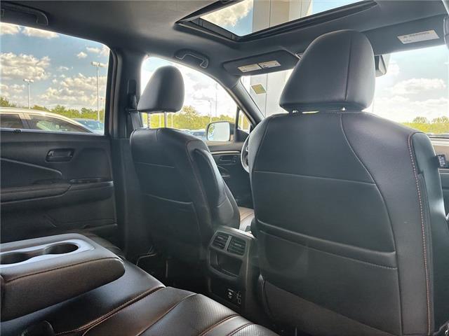 2022 Honda Passport