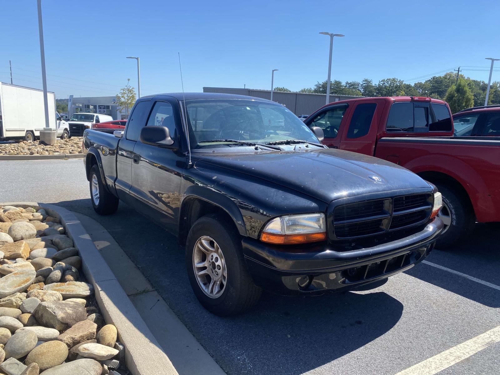 Black 2004 Dodge Dakota Pickup Truck Rear-Wheel Drive Automatic