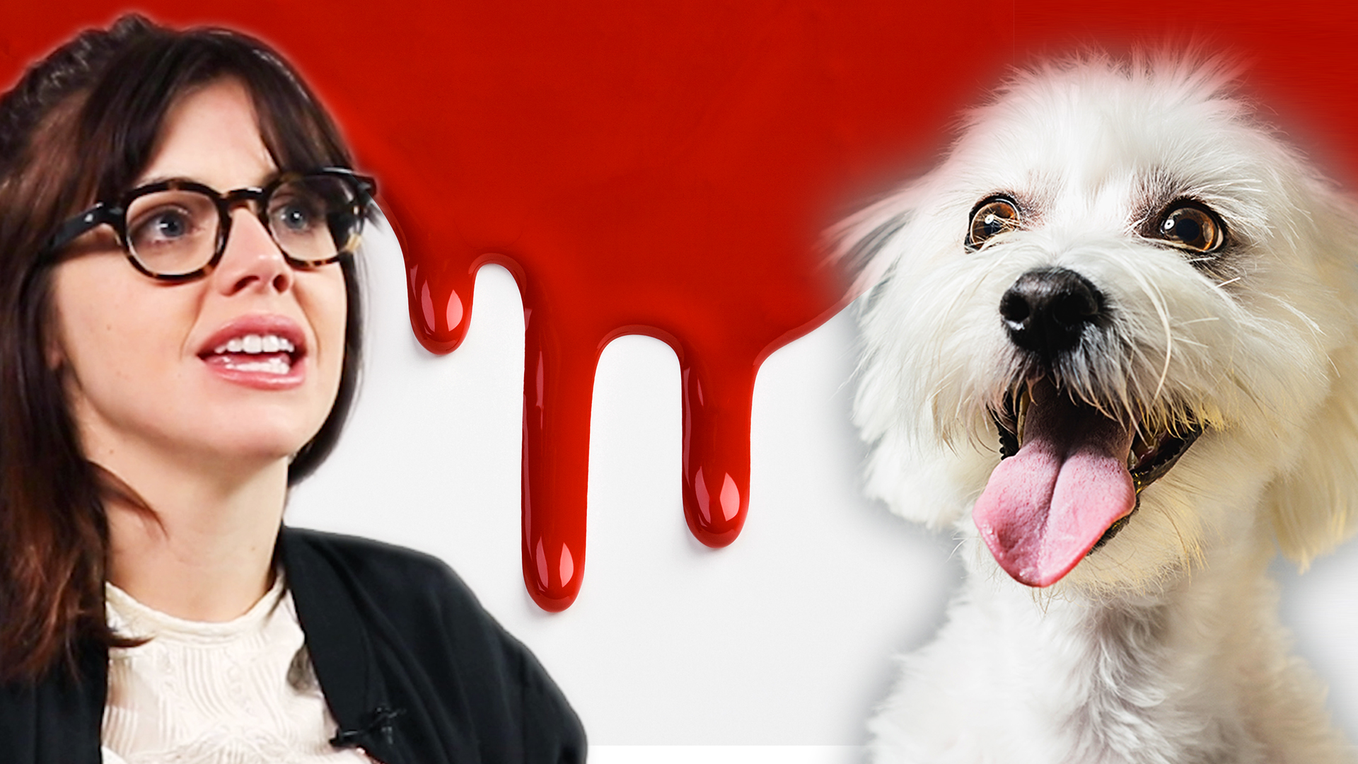 My Gross Pet Horror Story