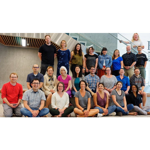 STRIDES: Customizing Online Curricula for Distance Learning