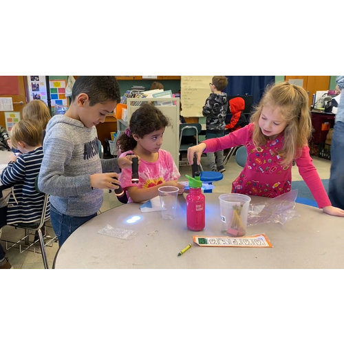 Highlighting Science Practices in First Grade Classrooms