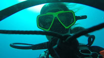 Icon for: Wavemakers. A near-peer career awareness video series