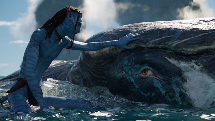 Innovation & Avatar: The Way of Water