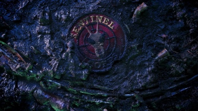 SENTINEL and AI: Brave New World