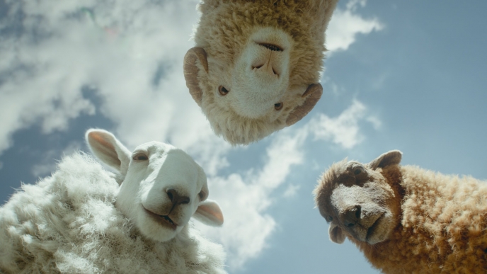 The Sheep Detectives: Art, Anatomy, and Animation