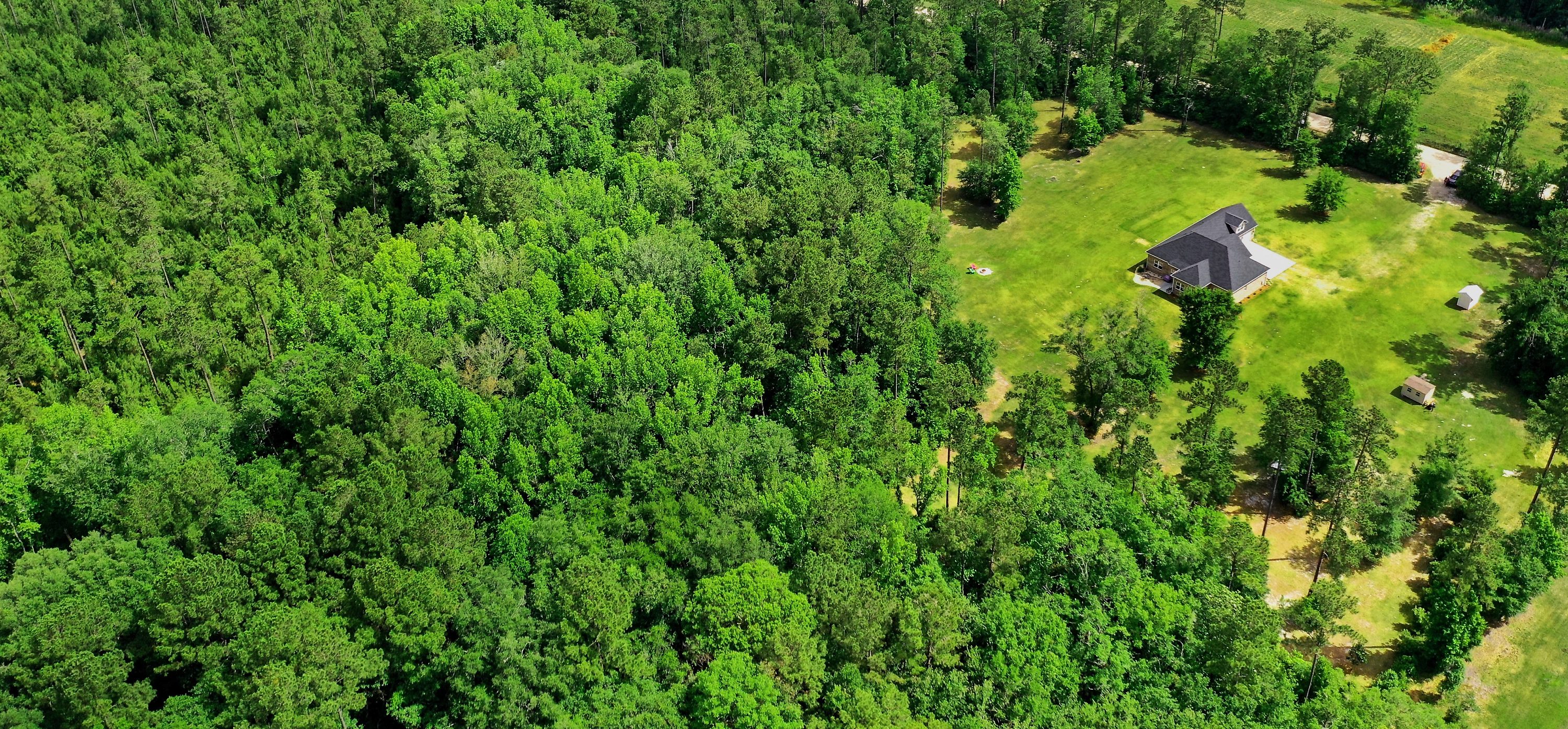 522 Dunham Marsh Trail, Richmond Hill, GA 31324 Elevated Coastal