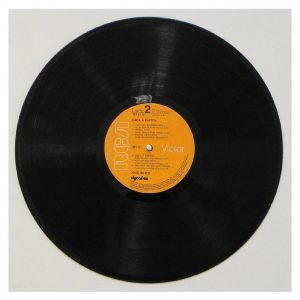 João Bosco - Caça à raposa # - Imagem 4
