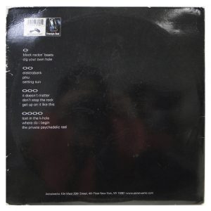 The Chemical Brothers - Dig Your own hole - Duplo - Imagem 2