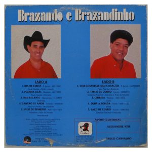 Brazando e Brazandinho - Zangão de amor º - Imagem 4