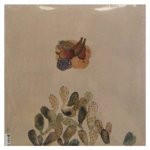 Devendra Banhart - Smokey Rolls Down Thunder Canyon - Duplo Importado - Imagem 2