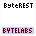 ByteREST image