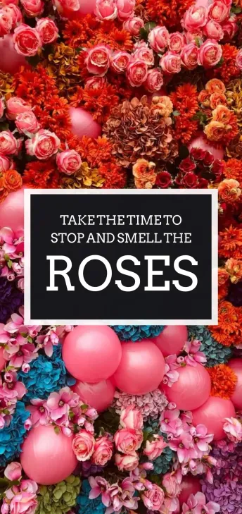 Roses