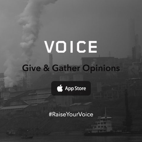 Voice - Give & Gather Opinions