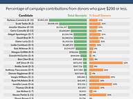Small Donors in Congressional Races