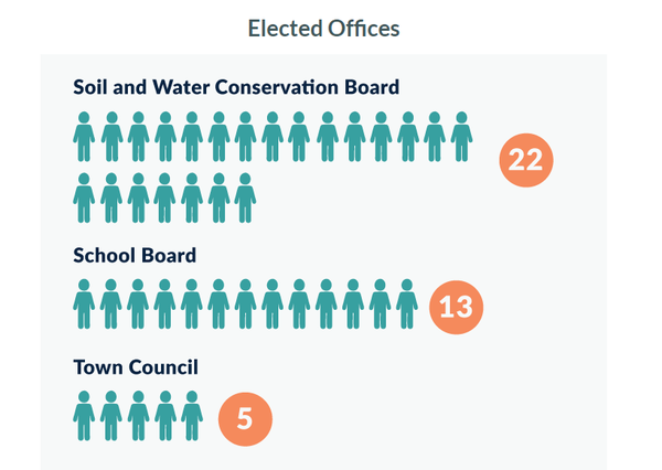 Image for Write-in Winners