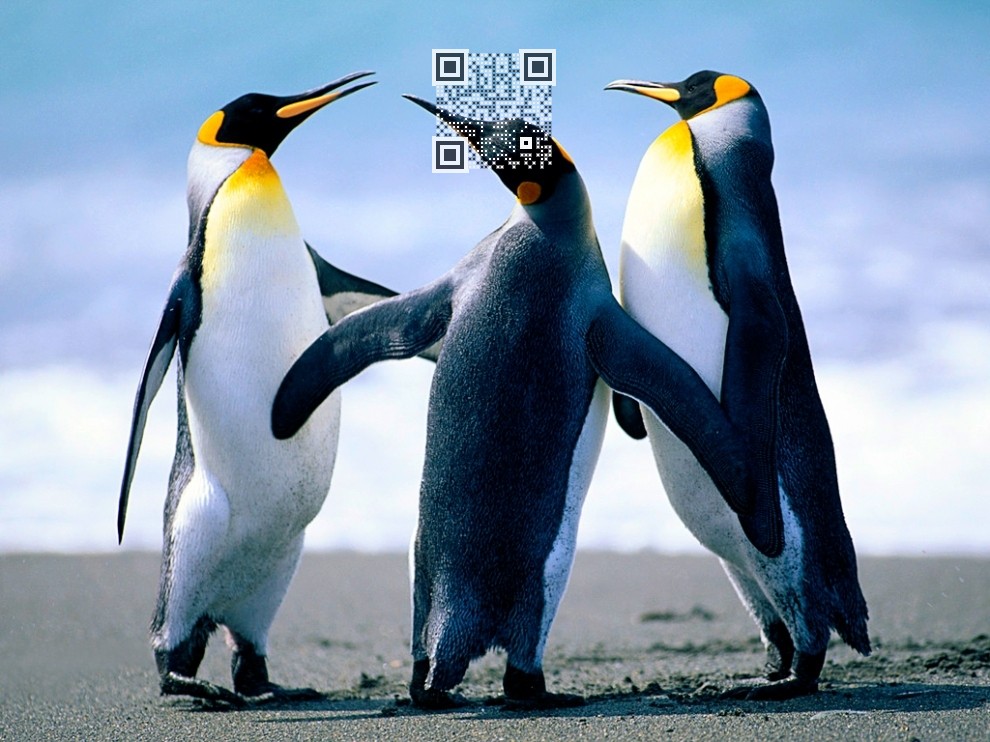 Visual QR Code
