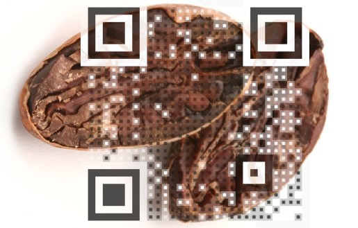Visual QR Code