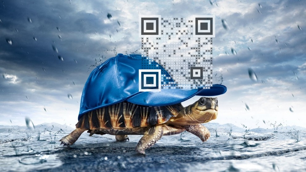 Turtle Ninja