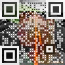Visual QR Code make qrcode Visual QR Code