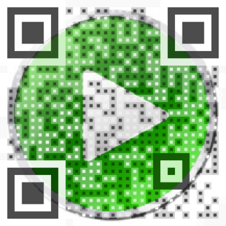 Visual QR Code