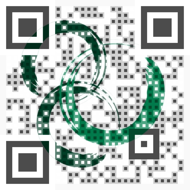 Visual QR Code
