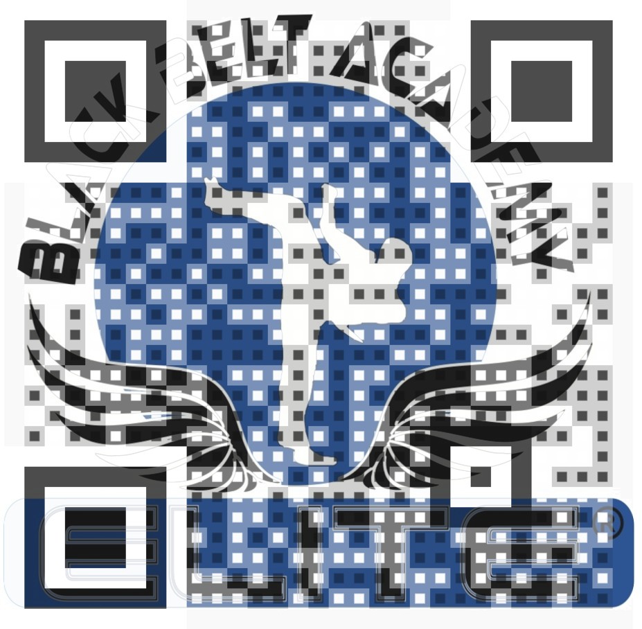 Visual QR Code