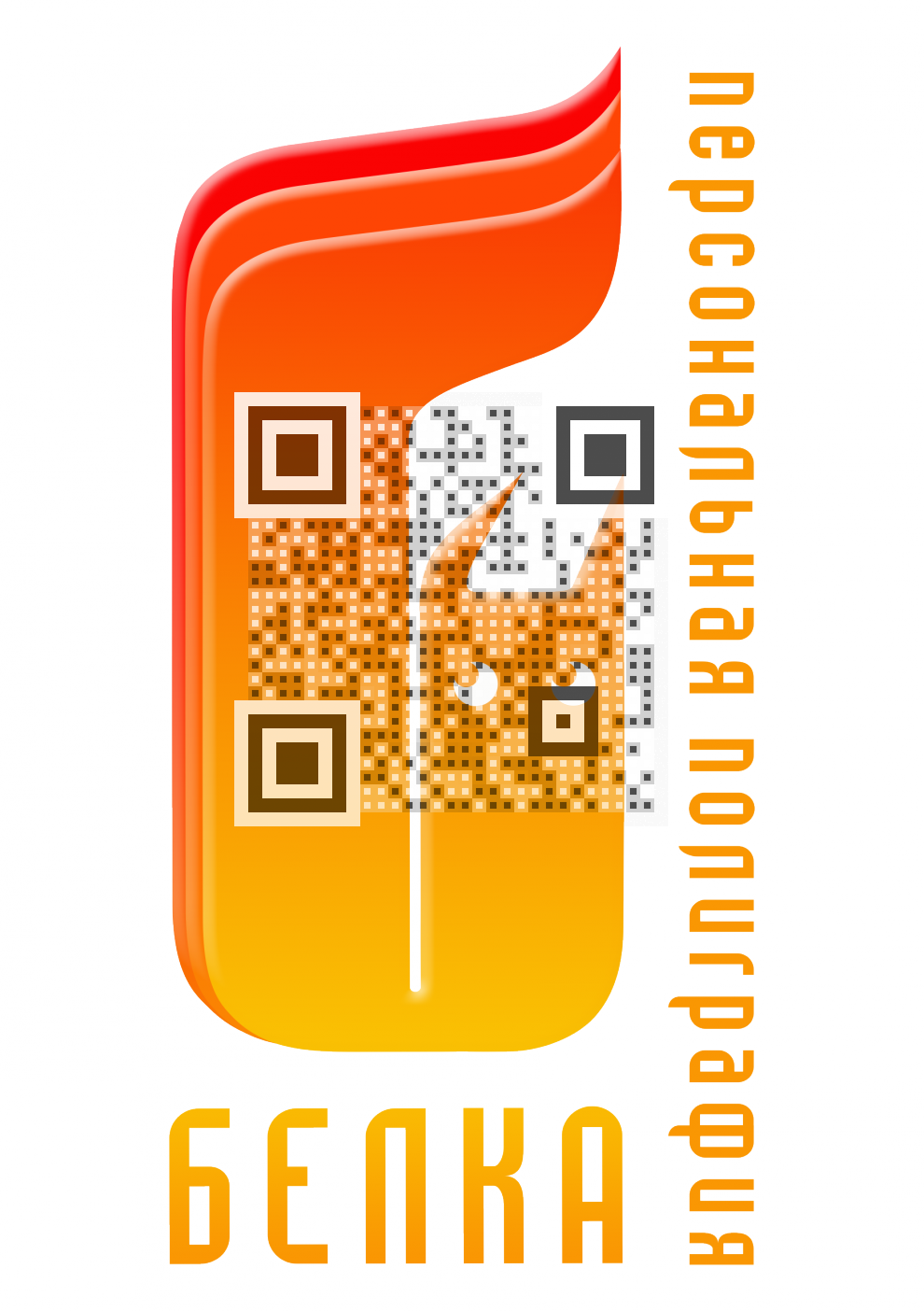 Visual QR Code