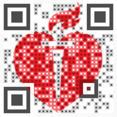 Visual QR Code